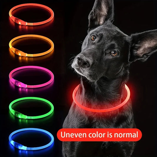 Collar LED recargable para perro — Visible en paseos nocturnos