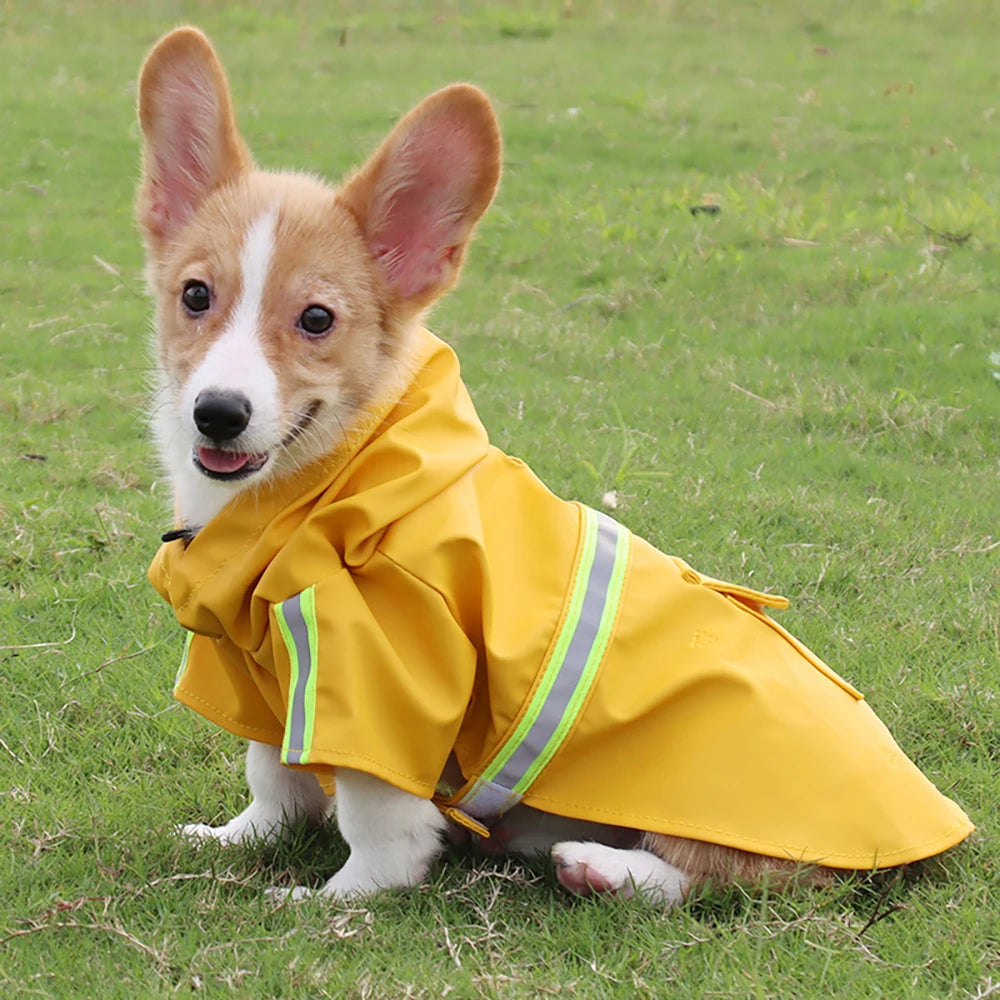Chubasquero para perro con capucha — Impermeable y reflectante