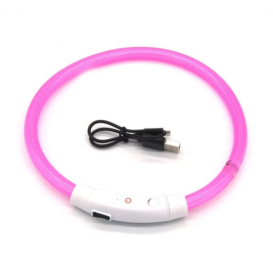 Collar LED recargable para perro — Visible en paseos nocturnos
