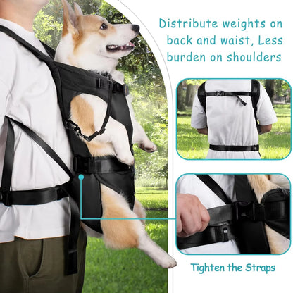 Mochila transportadora para perro — Acolchada y transpirable