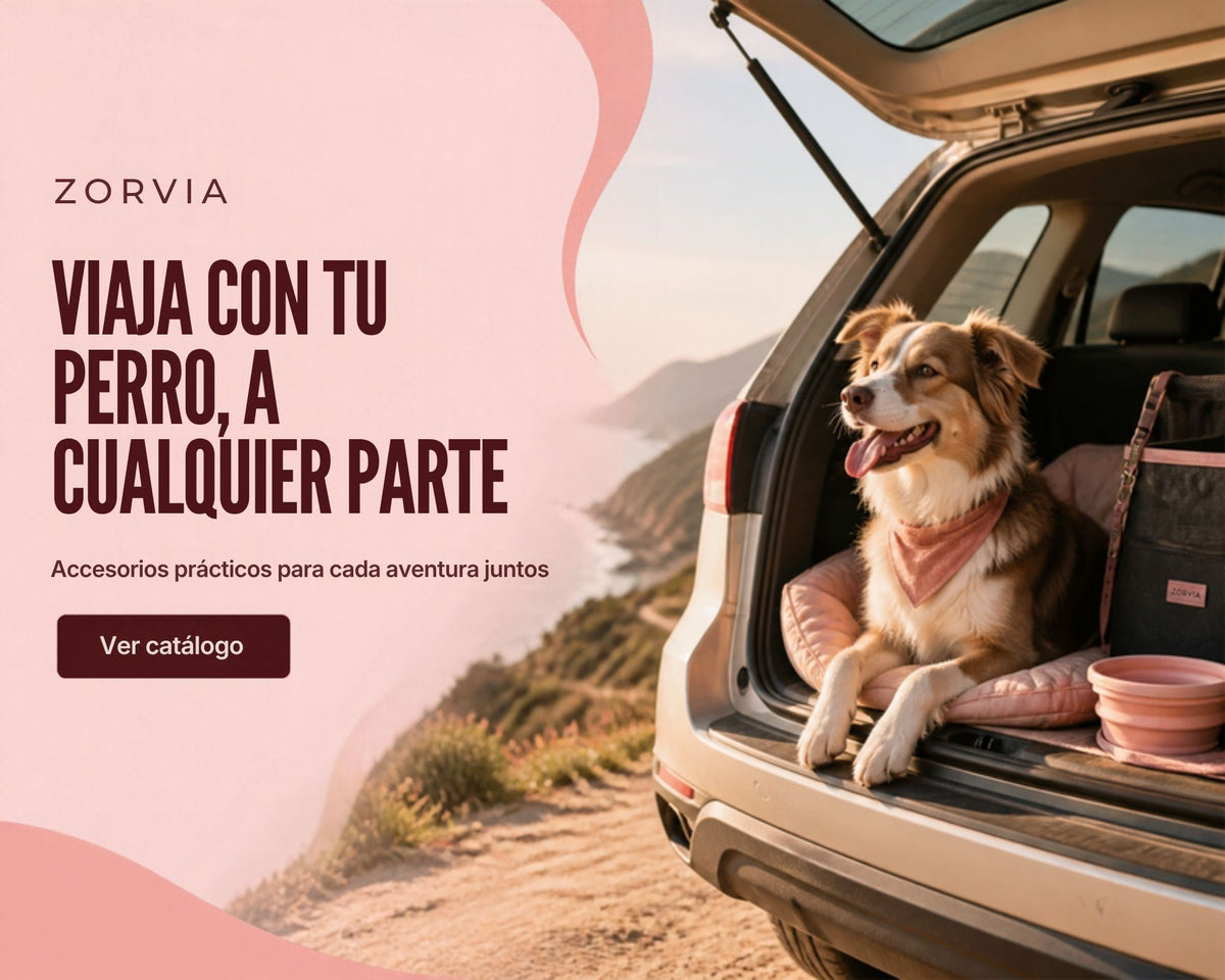 ZORVIA - Viaja con tu perro, a cualquier parte